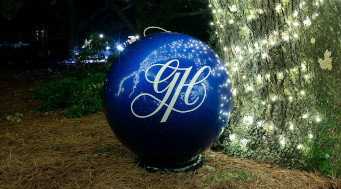 CREATOR: gd-jpeg v1.0 (using IJG JPEG v62), quality = 80